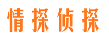 迎江市调查公司